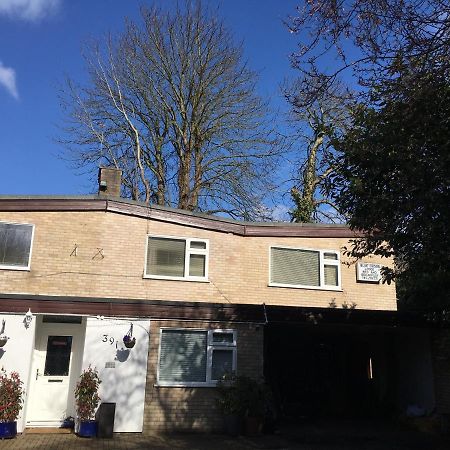 Blue Cedar Lodge Norwich Esterno foto